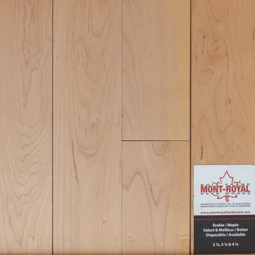 Échantillons plancher bois franc EXO Concept 750x750-310