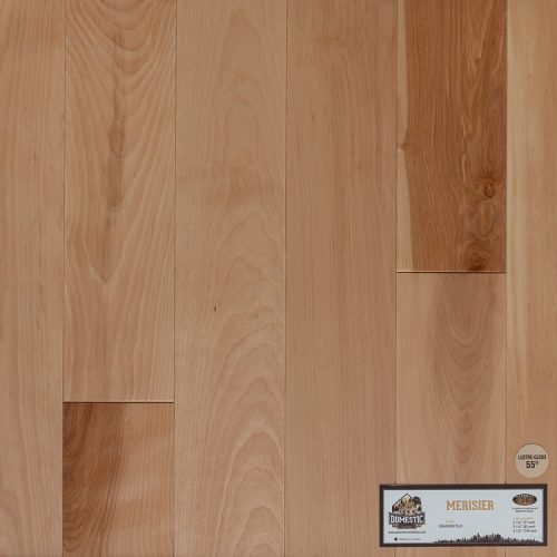 Échantillons plancher bois franc EXO Concept 750x750-463