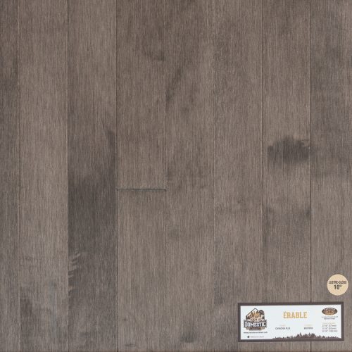 Échantillons plancher bois franc EXO Concept 750x750-446